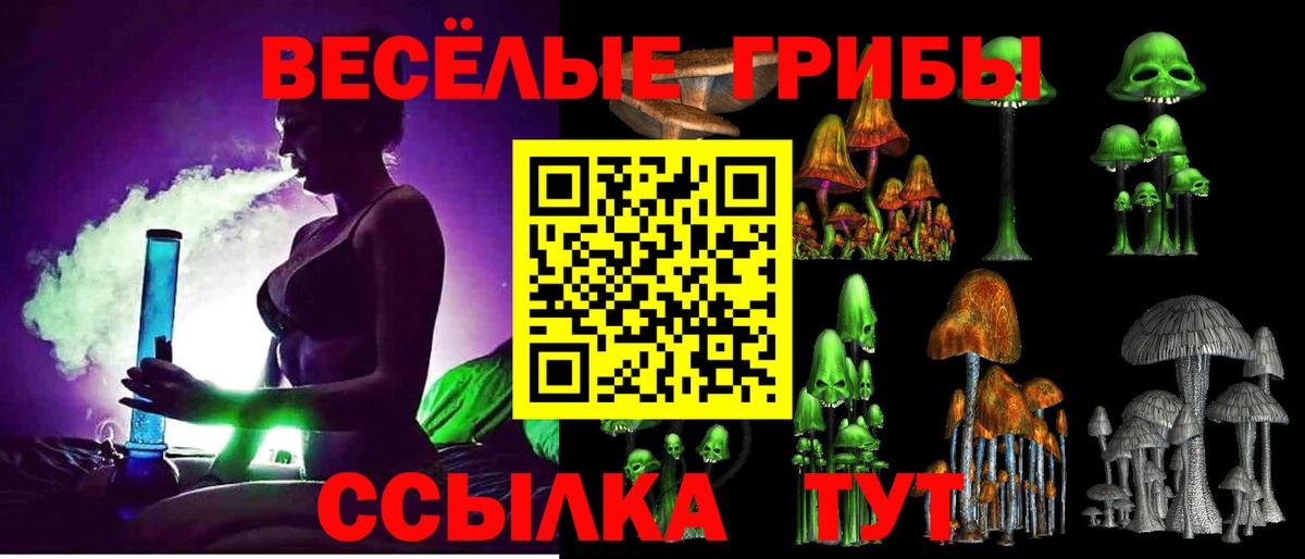 Сыктывкар  дарнет шоп  Вход с VPN  Галлюциногенные грибы Cubensis 