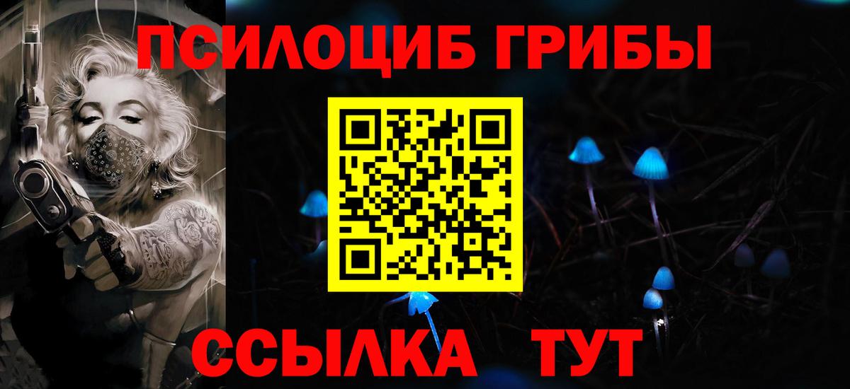 Галлюциногенные грибы прущие грибы Сыктывкар